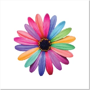 African Daisy Flower Posters and Art